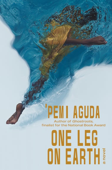 Cover of One Leg on Earth by 'Pemi Aguda
