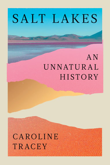 Cover of Salt Lakes by Caroline Tracey