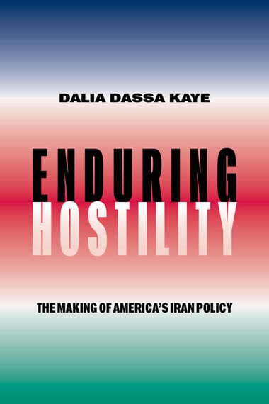 Cover of Enduring Hostility by Dalia Dassa Kaye