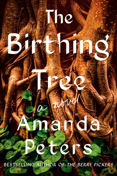 Cover of The Birthing Tree by Amanda Peters
