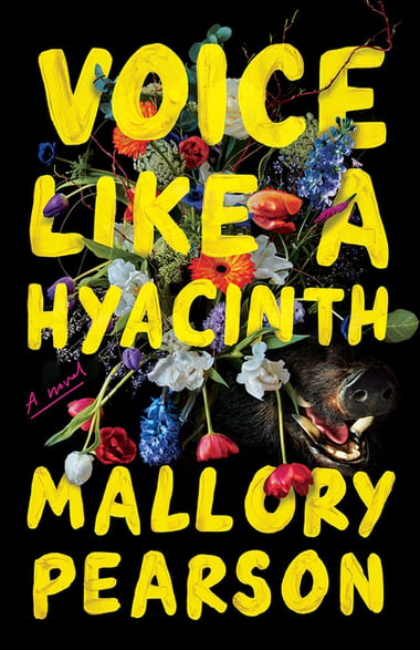 Cover of Voice Like a Hyacinth by Mallory Pearson