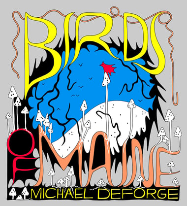 Cover of Birds of Maine by Michael Deforge