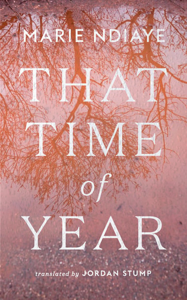 Cover of That Time of Year by Marie NDiaye