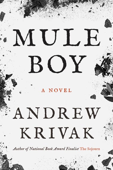 Cover of Mule Boy by Andrew Krivak