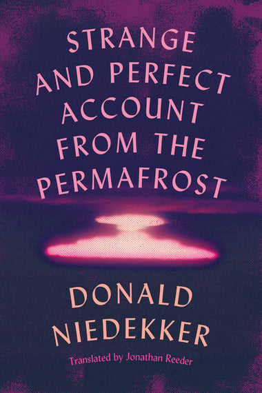Cover of Strange and Perfect Account from the Permafrost by Donald Niedekker