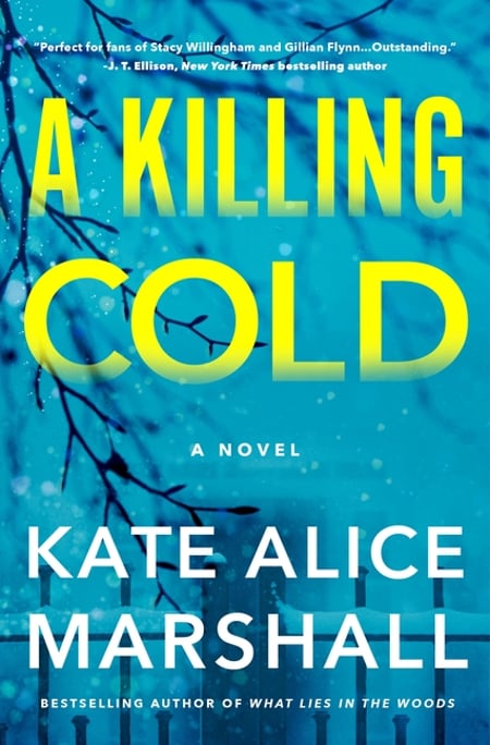 Cover of A Killing Cold by Kate Alice Marshall