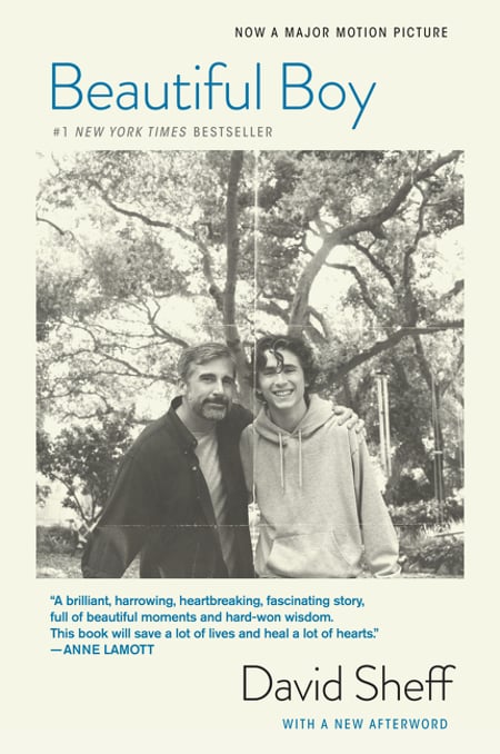 Cover of Beautiful Boy (Tie-In) by David Sheff