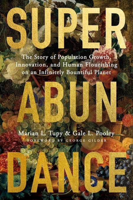 Cover of Superabundance by Marian L Tupy