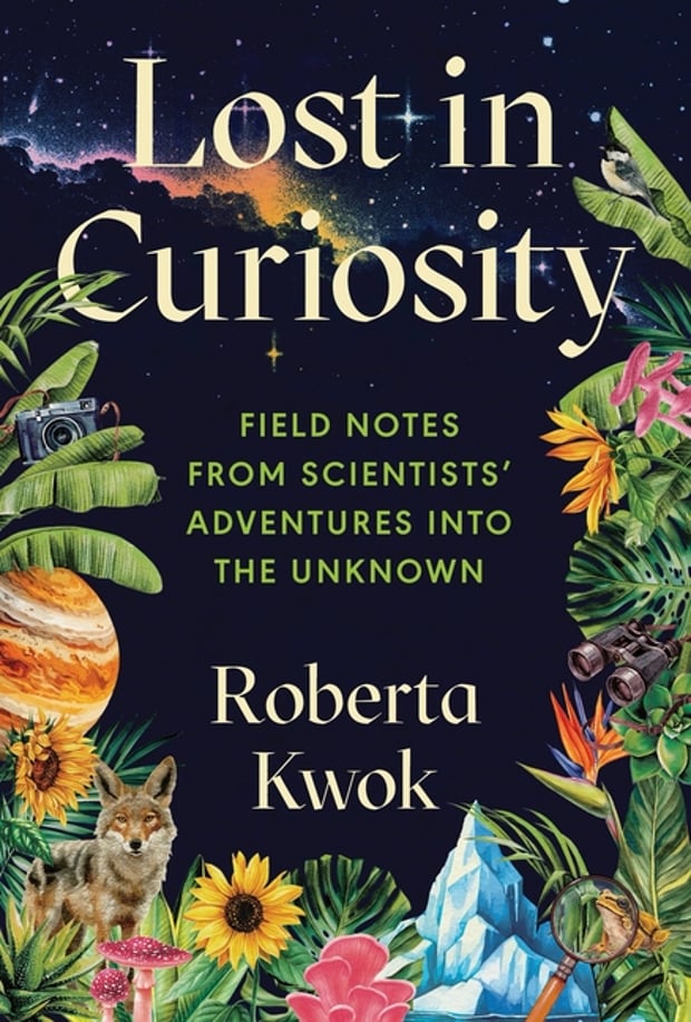 Cover of Lost in Curiosity by Roberta Kwok